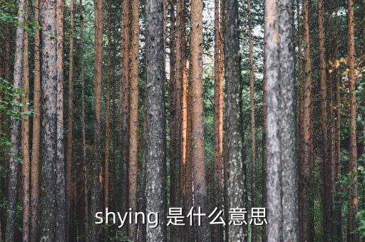 shying 是什么意思