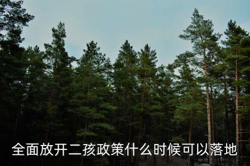 全面放開二孩政策什么時候可以落地