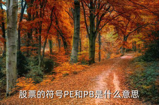 財(cái)富公司什么叫pe，誰知道股票中的PE和PB是什么意思呵我們常說的市盈率一樣謝謝  搜