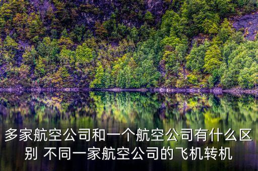 多家航空公司什么意思，同一架飛機有2家公司運營嗎我和我哥買的同一家飛機為什么是不