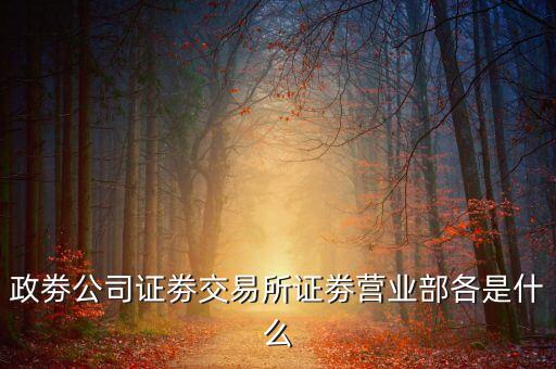 政劵公司證劵交易所證劵營業(yè)部各是什么