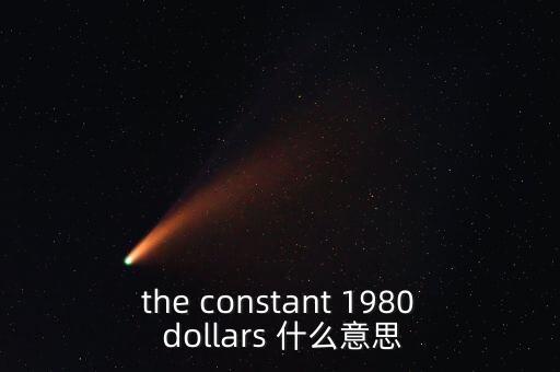 the constant 1980 dollars 什么意思