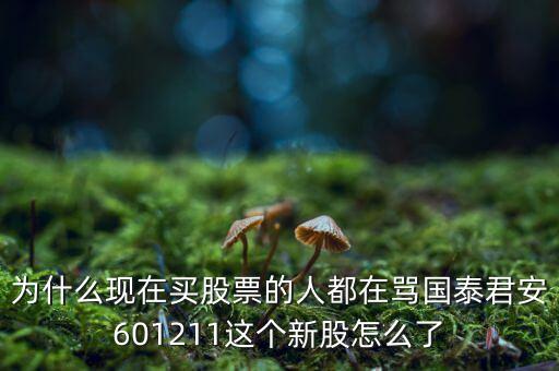 為什么現(xiàn)在買(mǎi)股票的人都在罵國(guó)泰君安601211這個(gè)新股怎么了