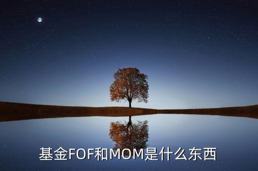 什么是mom基金，mom基金到底是個(gè)什么模式