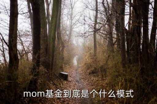 mom基金到底是個(gè)什么模式