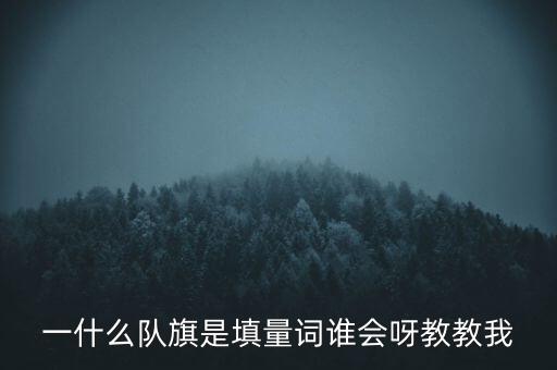 一什么隊旗是填量詞誰會呀教教我