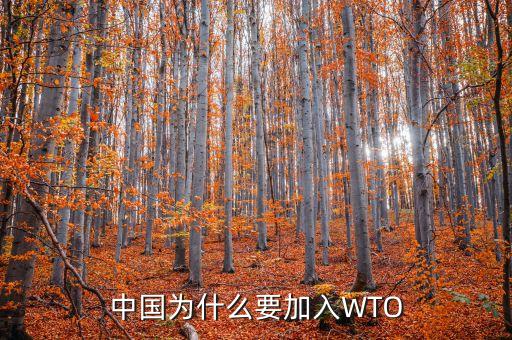 中國為什么要加入WTO