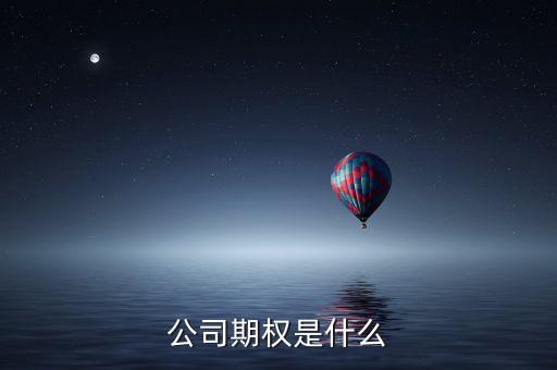 公司期權(quán)是什么