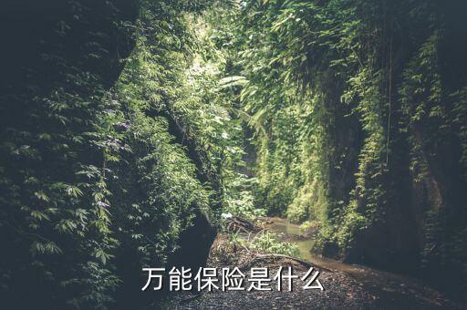 萬能保險是什么