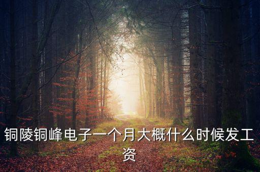 銅陵銅峰電子一個(gè)月大概什么時(shí)候發(fā)工資