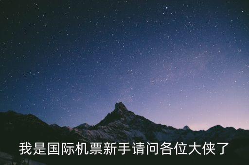 我是國(guó)際機(jī)票新手請(qǐng)問(wèn)各位大俠了