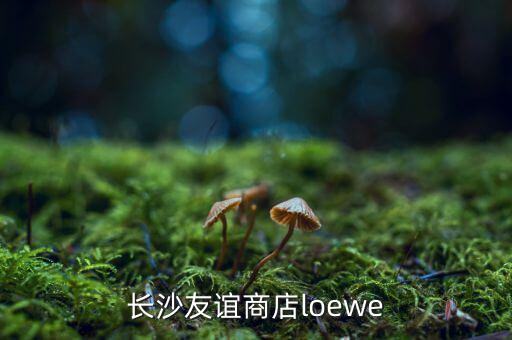 長(zhǎng)沙友誼商店loewe