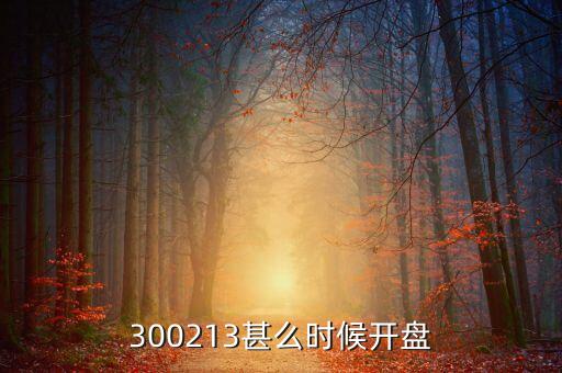 300213甚么時(shí)候開(kāi)盤