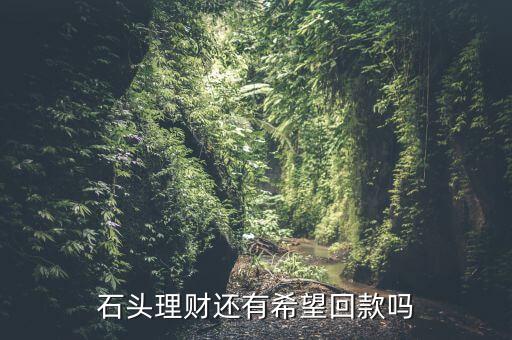 石頭理財(cái)還有希望回款嗎