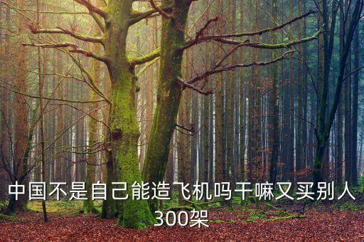 中國為什么買波音300架飛機，中國為什么買300架飛機自已不有c919嗎