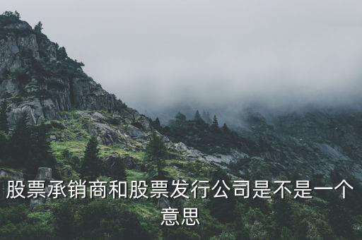 股票承銷商和股票發(fā)行公司是不是一個(gè)意思