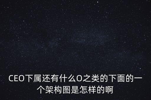 CEO下屬還有什么O之類的下面的一個架構(gòu)圖是怎樣的啊