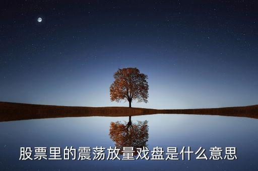 放量上下震蕩說明什么，股票里的震蕩放量戲盤是什么意思