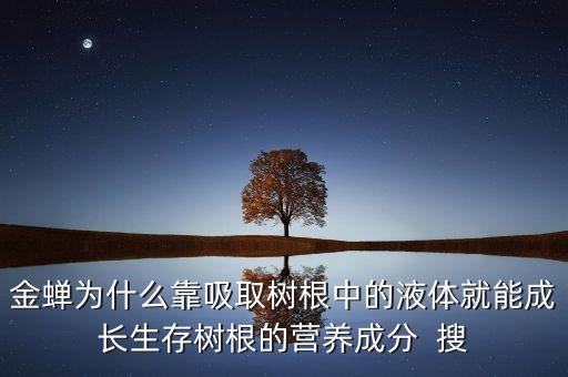 金蟬為什么靠吸取樹根中的液體就能成長生存樹根的營養(yǎng)成分  搜