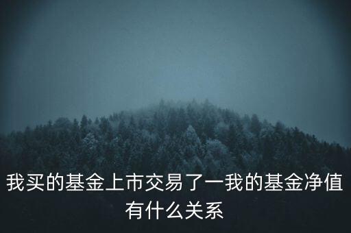 只上市交易的進(jìn)取基金問什么還有凈值，我買的基金上市交易了一我的基金凈值有什么關(guān)系