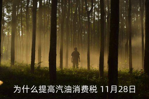 為什么提高汽油消費(fèi)稅 11月28日