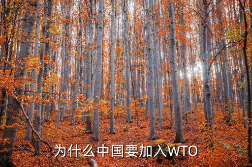 為什么中國(guó)要加入WTO