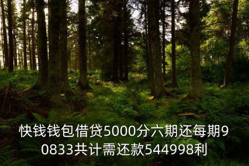 快錢錢包借貸5000分六期還每期90833共計需還款544998利