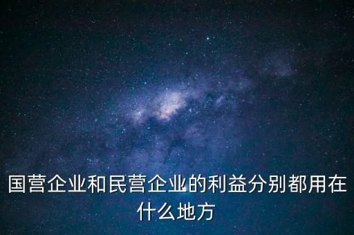 民營企業(yè)是干什么的，國營企業(yè)和民營企業(yè)的利益分別都用在什么地方