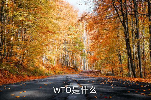 wto指的是什么，WTO是什么