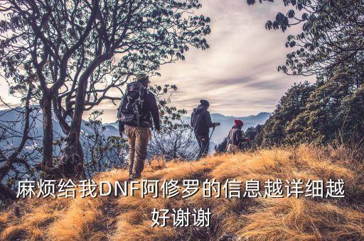 麻煩給我DNF阿修羅的信息越詳細越好謝謝