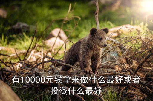 有10000元錢拿來做什么最好或者投資什么最好