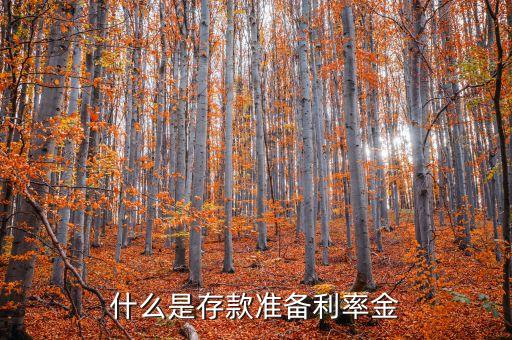 什么是存款準(zhǔn)備金利率，利率銀行存款準(zhǔn)備金率什么意思