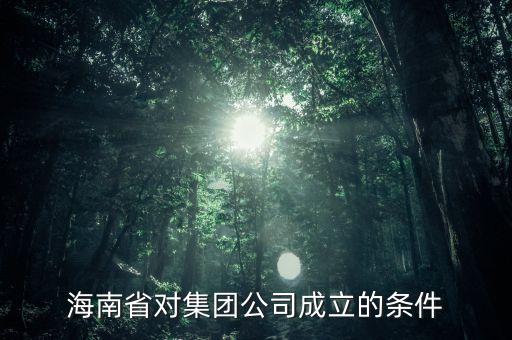 海南省對集團(tuán)公司成立的條件