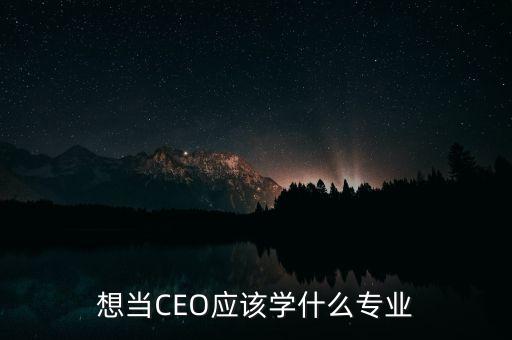 想當CEO應該學什么專業(yè)