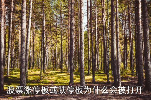 股票漲停板或跌停板為什么會(huì)被打開