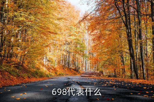 698數(shù)字代表什么意思，698是什么意思