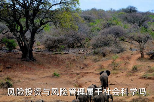 風險管理屬于什么專業(yè)，風險投資與風險管理屬于社會科學嗎