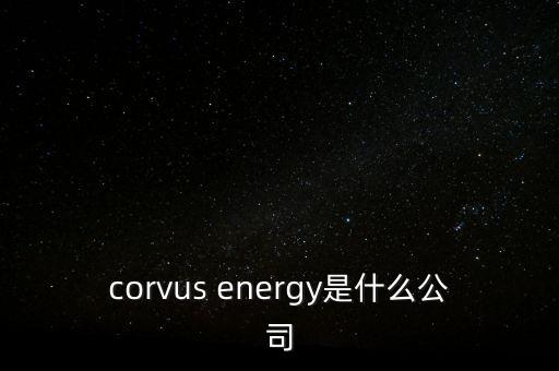 智慧松德是什么公司，corvus energy是什么公司