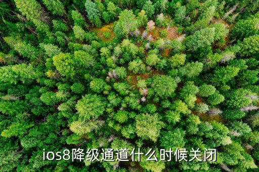 什么時(shí)候關(guān)閉降級(jí)交易，ios8降級(jí)通道什么時(shí)候關(guān)閉