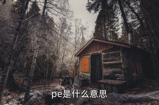 pe是什么意思