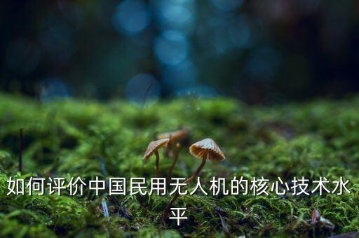 如何評價中國民用無人機的核心技術(shù)水平