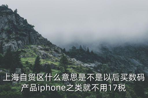 上海自貿(mào)區(qū)什么意思是不是以后買數(shù)碼產(chǎn)品iphone之類就不用17稅