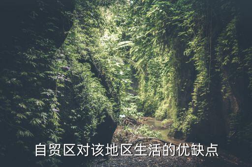 自貿(mào)區(qū)對(duì)該地區(qū)生活的優(yōu)缺點(diǎn)