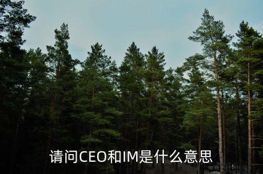 光大富尊IM是是什么，請(qǐng)問(wèn)CEO和IM是什么意思