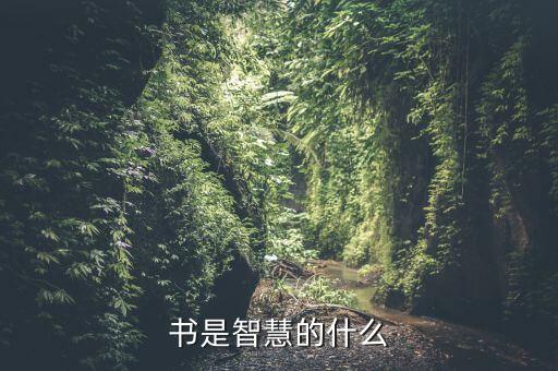 書是智慧的什么