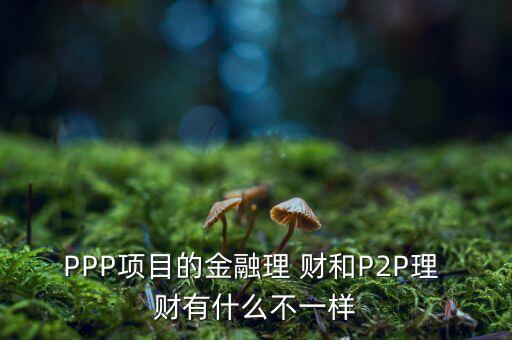 PPP項目的金融理 財和P2P理 財有什么不一樣