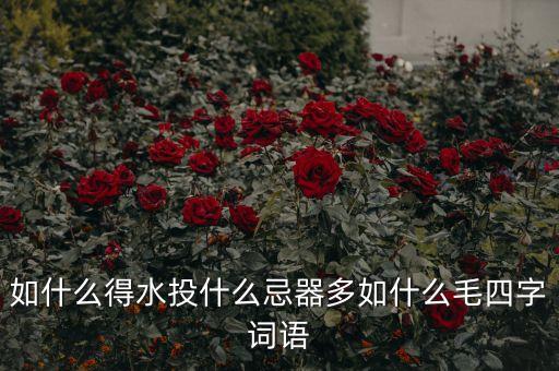 如什么得水投什么忌器多如什么毛四字詞語(yǔ)