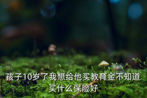 孩子10歲了我想給他買教育金不知道買什么保險(xiǎn)好