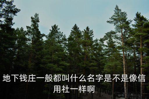 地下錢莊一般都叫什么名字是不是像信用社一樣啊