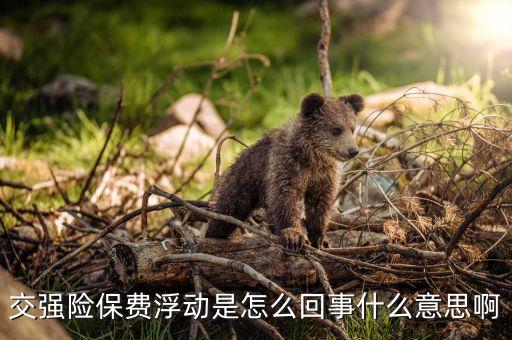 車輛保險為什么會上浮，車險保費上浮的原因都有哪些